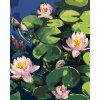 ZUTY Maľovanie podľa čísel - LEKNÍNY V ZÁHRADNOM JAZERE Rámovanie: bez rámu a bez vypnutia plátna, Rozmer: 80x100 cm