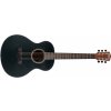 Washburn AGM 5