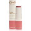 Attitude Oceanly Plastic Free Makeup lesk na pery s hydratačným účinkom odtieň Happy Berry 3.4 g