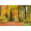 DIMEX fototapeta Jesenný les MS-5-0099 - 375 x 250 cm (150g VLIES - LEPIDLO ZADARMO)
