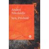 Syn, Príchod - Andrej Nikolaidis