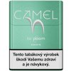 Camel for Ploom - Green (karton)
