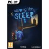 Among the Sleep