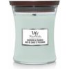 Woodwick Sagewood & Seagrass 275g