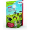 Schleich Farm World Séria 5 04074