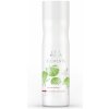Wella obnovujúci šampón Elements Renewing Shampoo 250 ml