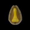 Formička Avid Carp Method Feeder Mould - LARGE