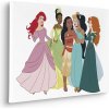 Komar Nástenný obraz na ráme Disney Princesses Together 40 x 60 cm