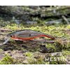 Wobler WESTIN P10SR Crankbait 10cm – Coward Flash