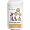 Dromy Pangamin 2000tbl