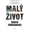 Malý život - Hanya Yanagihara
