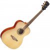 Eko guitars NXT A100