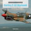 Curtiss P-40 Warhawk: The Famous Flying Tigers Fighter (David Doyle)(Pevná)