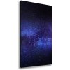 Vertikálny foto obraz na plátne Mliečna dráha 50x100 cm