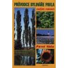Průvodce bylináře Pavla celým rokem - Váňa Pavel