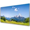 Nástenný panel Pole stromy hory príroda 100x50 cm