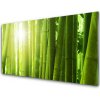 Nástenný panel Bambus rastlina 100x50 cm