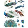 Transfer Peacock dreams