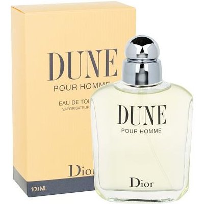 Christian Dior Dune Pour Homme 100 ml toaletní voda pro muže