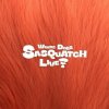 Zior Park: Where Does Sasquatch Live? - 2CD