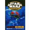 Star Wars: The New Jedi Order - Dark Tide Ruin
