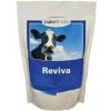 Trouw Nutrition Biofaktory FOS Reviva 1 kg