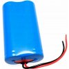 AM Electronics 18650 2900 mAh Li-ion batéria 2 ks
