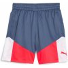 Šortky Puma individualCUP Shorts 658485-53 Veľkosť S