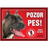 Juko Plastová tabuľa Pozor Pes Staford 21 x 14,7 cm