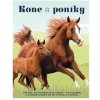 Kone a poníky - Kolektív autorov