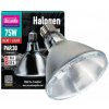 Arcadia Halogen Heat Lamp 75W