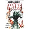 DC Comics Wake