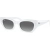 Slnečné okuliare Ray-Ban Zena RB4430 675911 Veľkosť: 49