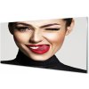 Obraz plexi Samice červené pery 100x50 cm