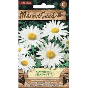 Margarétka veľkokvetá semená MoravoSeed od 0,99 € - Heureka.sk