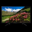 Sony Bravia KDL-43RF455