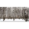 Foto obraz akrylový Brezy zima 100x50 cm