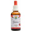 Salvia Paradise Guarana AF tinktura 50 ml