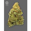 The Bulldog Seeds TB Lemon Haze Auto, 3 a 5 ks 3 ks