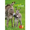 Entdecke die Esel (Judith Schmidt)(Pevná)