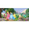 AG Design FTDNH-5378 fototapeta Princesses rozmery 202 x 90 cm