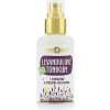 Purity Vision Bio levandulové tonikum 100 ml