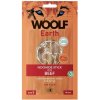 Woolf Earth Noohide Beef S 90 g