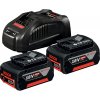 Bosch Základná súprava 2x GBA 18 V 5,0 Ah + GAL 1880 CV Professional 1600A00B8J