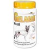 Orling Gelacan Plus Profi 500 g