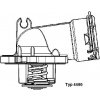 Termostat chladenia BorgWarner (Wahler) 4490.87D 4490.87D