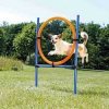 AGILITY kruh preskakovací