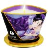 Shunga - Massage Candle Exotic Fruits 170 ml