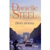 Bod zlomu - Danielle Steelová