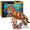 CubicFun 3D puzzle National Geographic: Mořská želva 31 ks